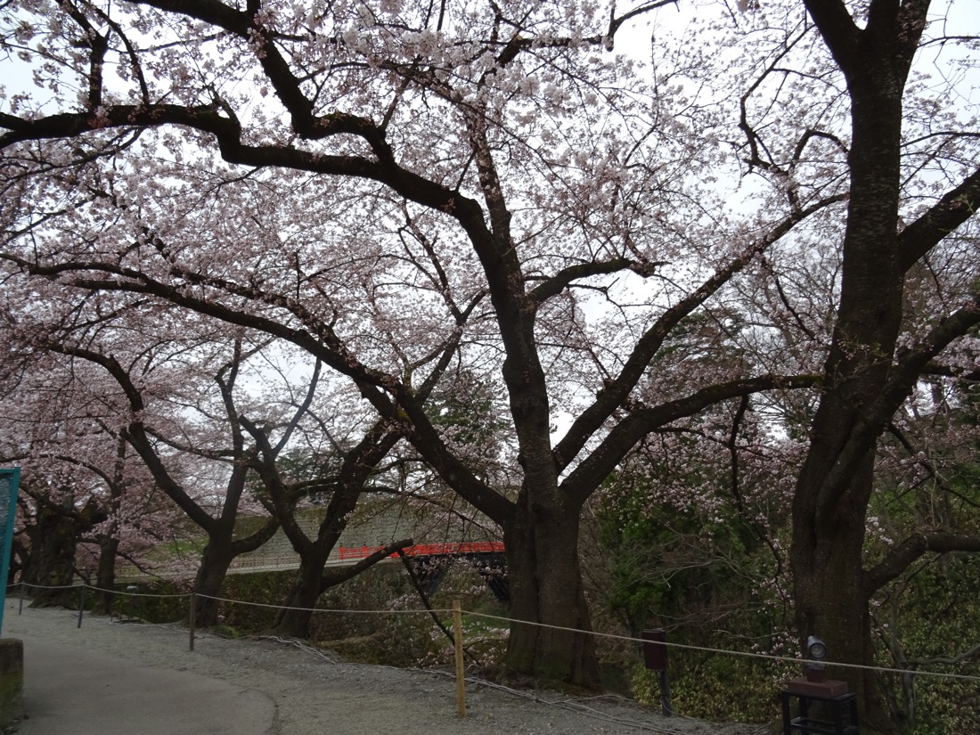 朱塗りの橋