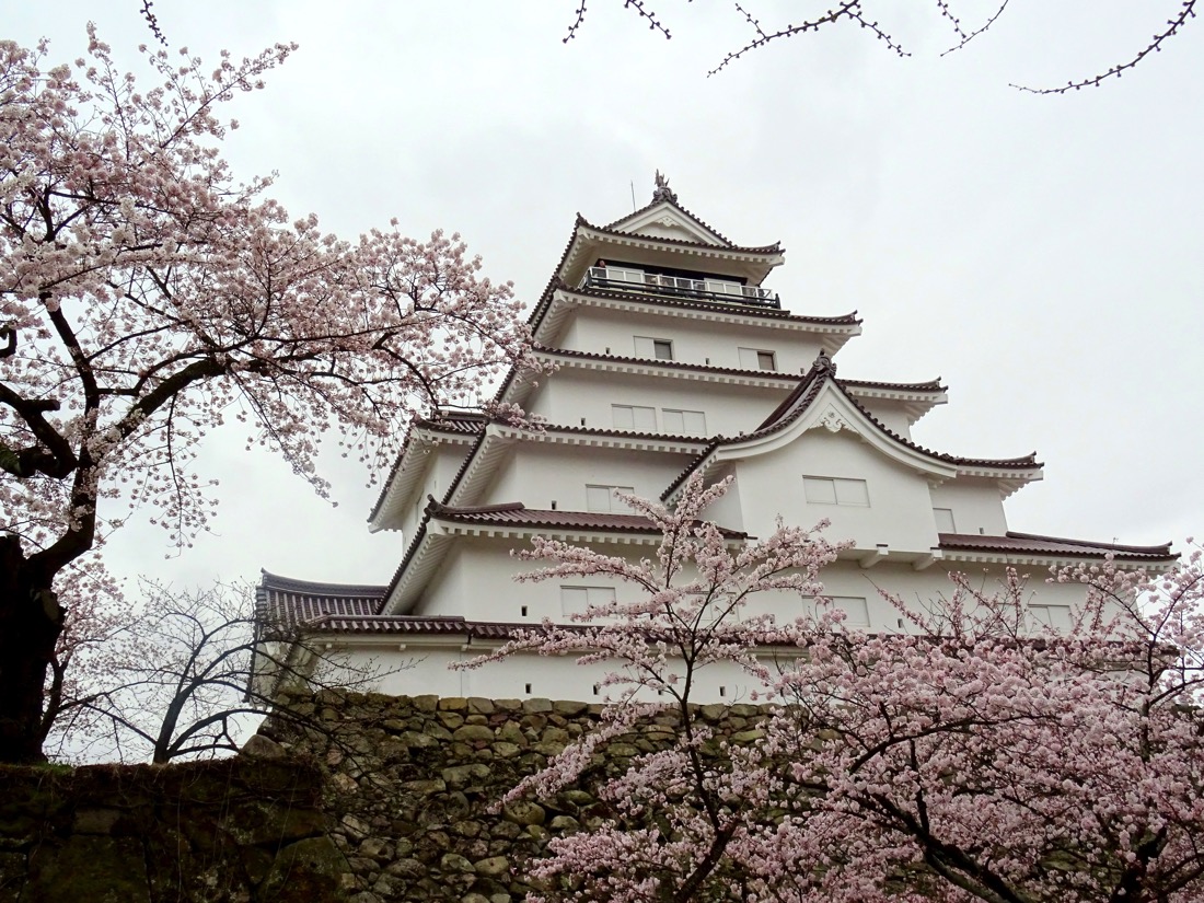 鶴ヶ城の桜