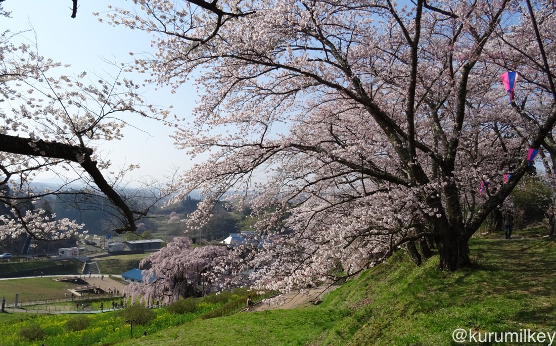 丘の上から