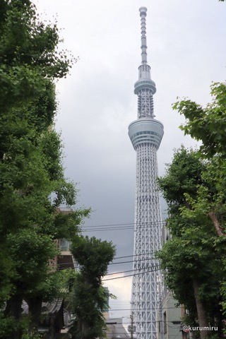 スカイツリーをめざす