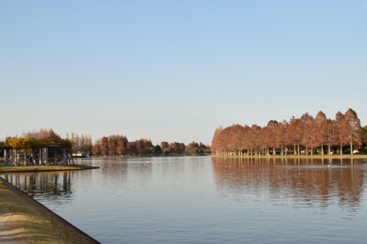 水辺の公園